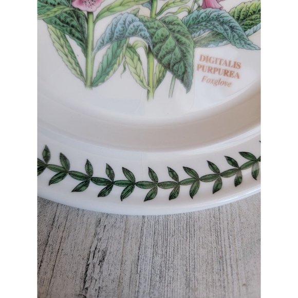 Portmeirion Botanic Gardens AS IS‎ Foxglove 10" plate - Picture 8 of 11